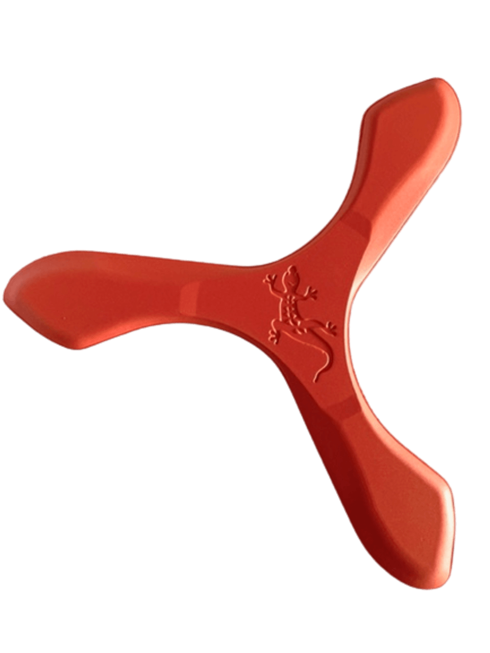 Iguana Boomerangs - Soft Foam Boomerangs for Young Teens!