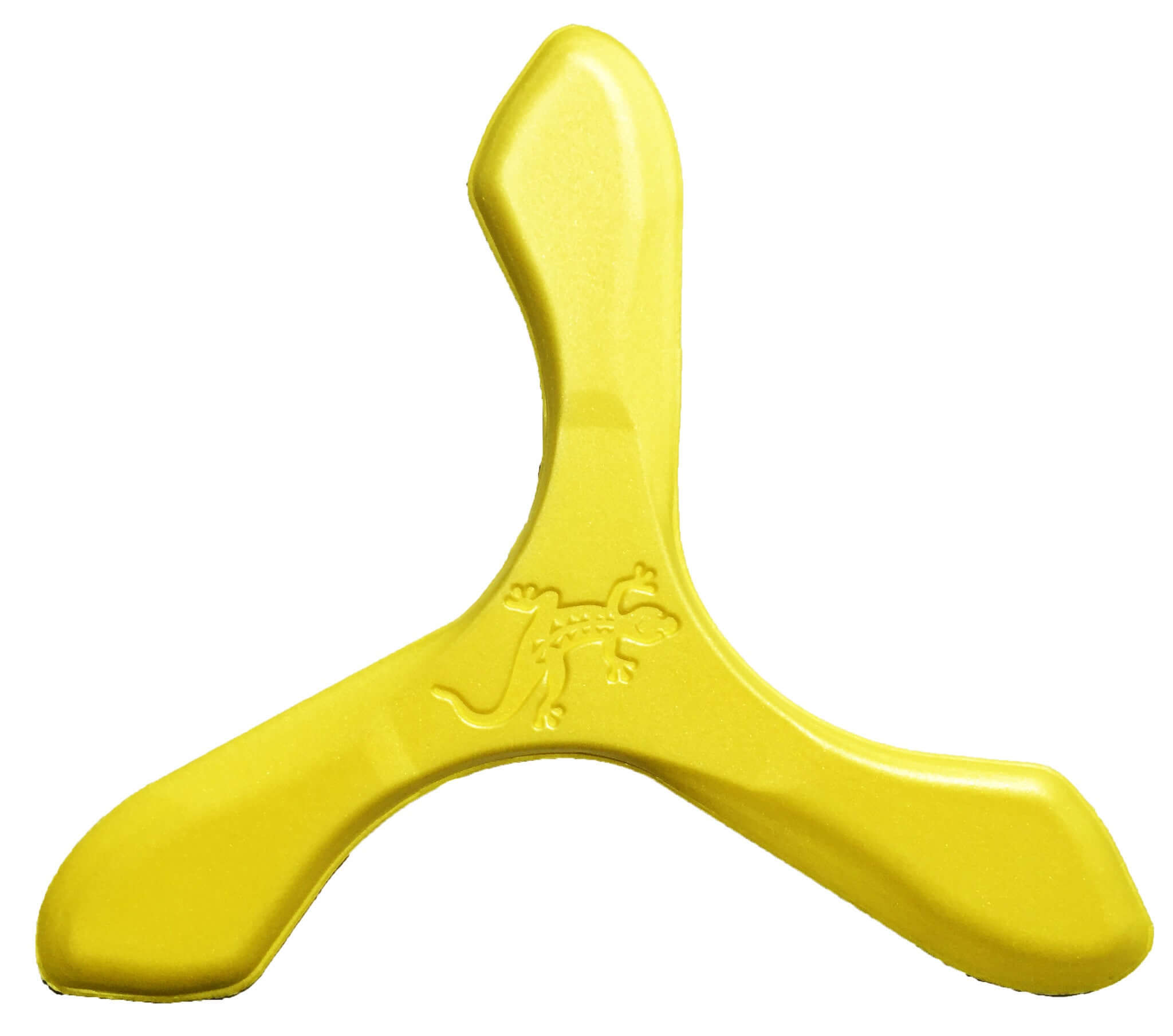 Iguana Boomerangs - Soft Foam Boomerangs for Young Teens!