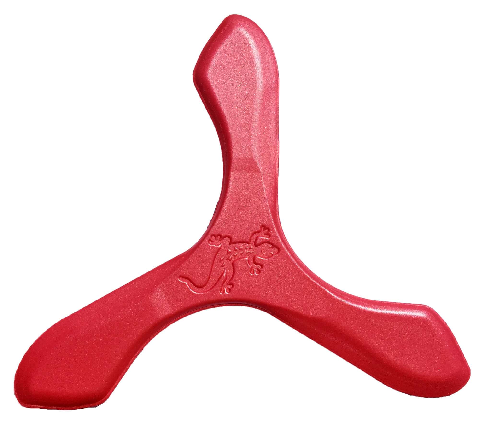 Iguana Boomerangs - Soft Foam Boomerangs for Kids! - boomerangs-com