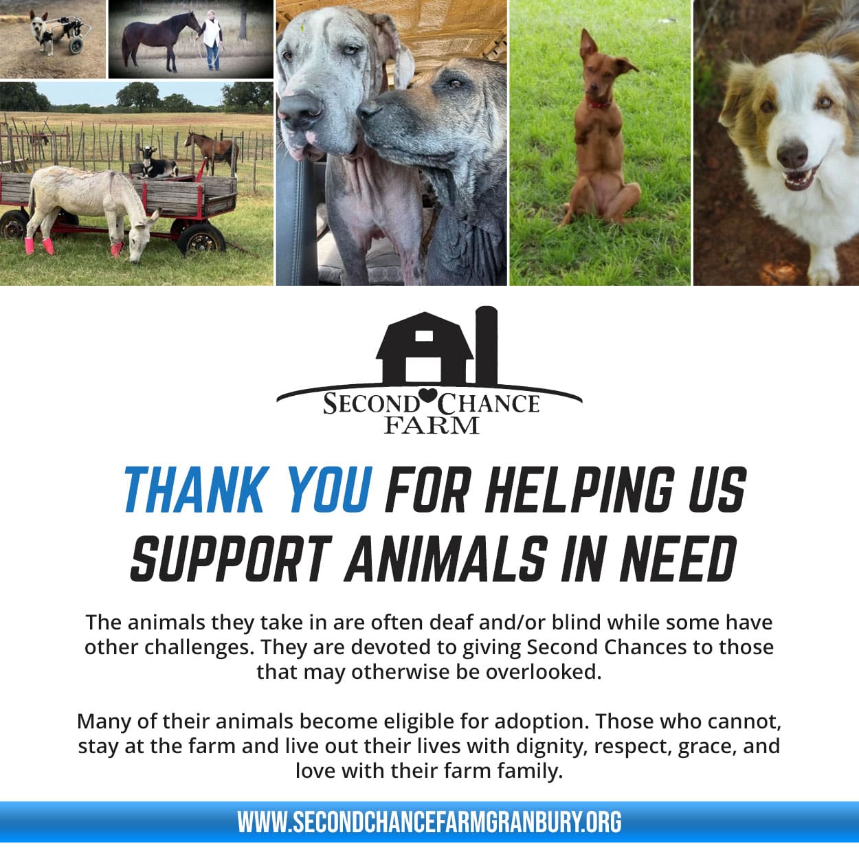 Disc Golf Putter Discs